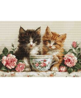 luca S Embroidery kit 37x25cm SBU5070