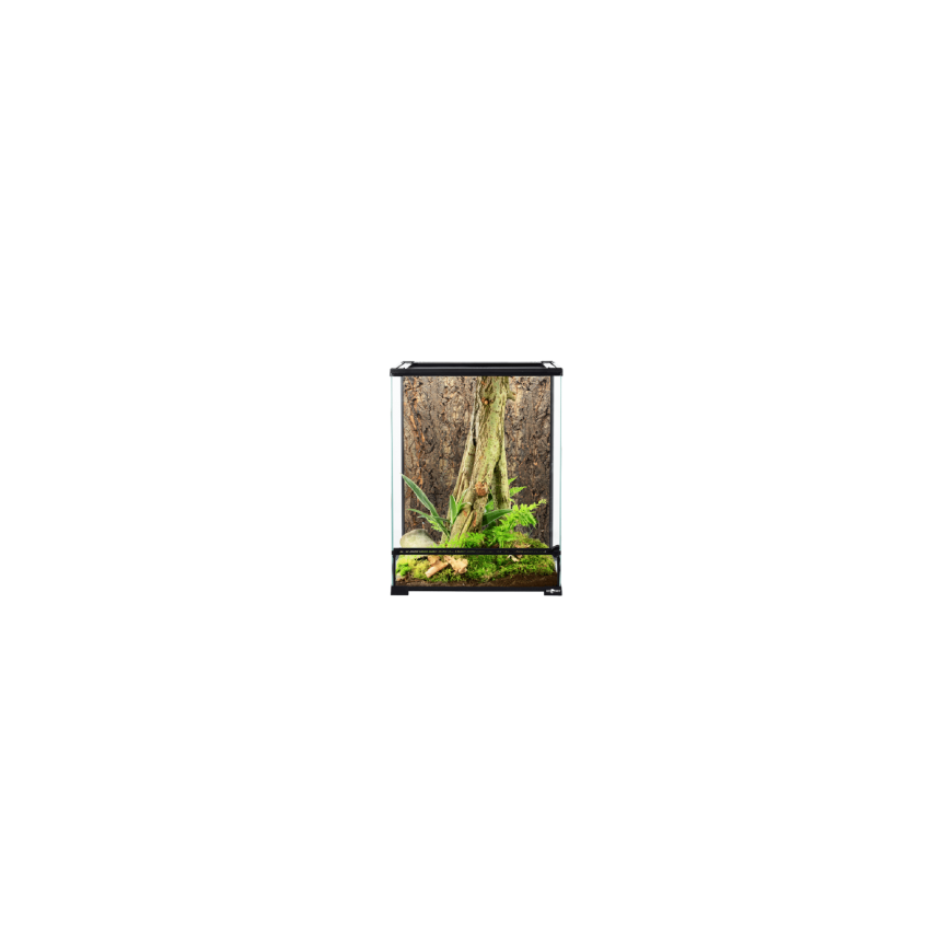 Terrarium decor : Repti Planet Artificial moss liana with natura – 2