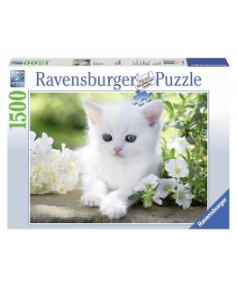 Ravensburger pusle 1500 tk Valge kassipoeg