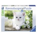 Ravensburger puzzle 1500 pcs White kitten Ravensburger puzzle 1500 pcs White kitten