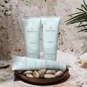 Paul Mitchell Intensive Hair Care Awapuhi (Wild Ginger Keratin Intensive Treatment) Paul Mitchell Intensive Hair Care Awapuhi (Wild Ginger Keratin Intensive Treatment)