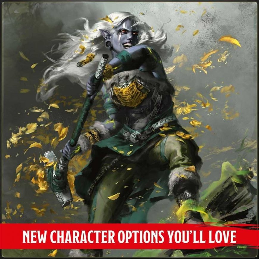 Wizards of the Coast Dungeons & Dragons Player's Handbook 2024 Book – 5