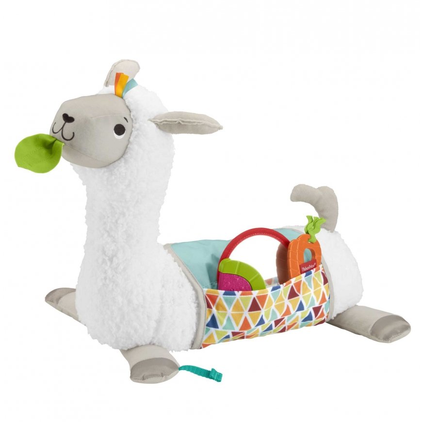 Fisher-Price GHJ03 minkštas žaislas
