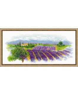 Uab Riolis Žydi Provence SR1690