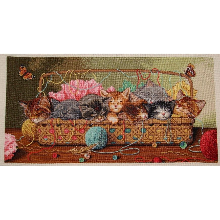 DIMENSIONS Groves Of Thame Litter D35184