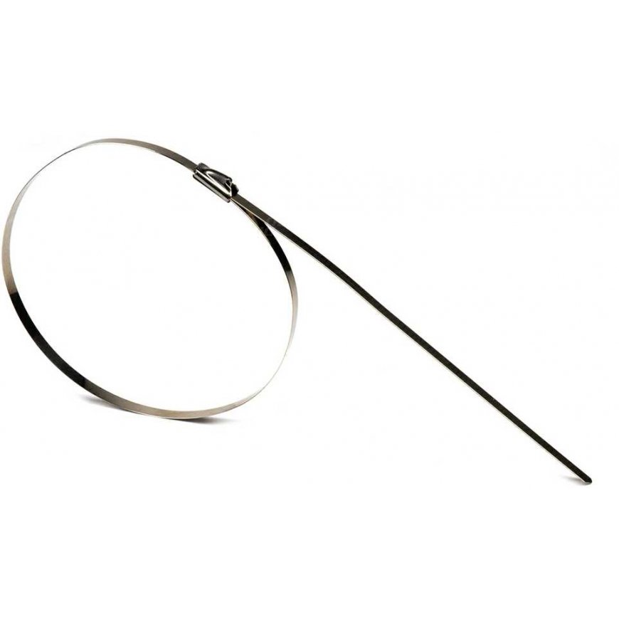 Nerūdijančio plieno metaliniai spaustukai 4.6x350mm 100vnt amio-04324