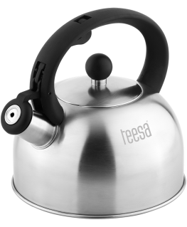 Teesa Stainless steel kettle with whistle 2L