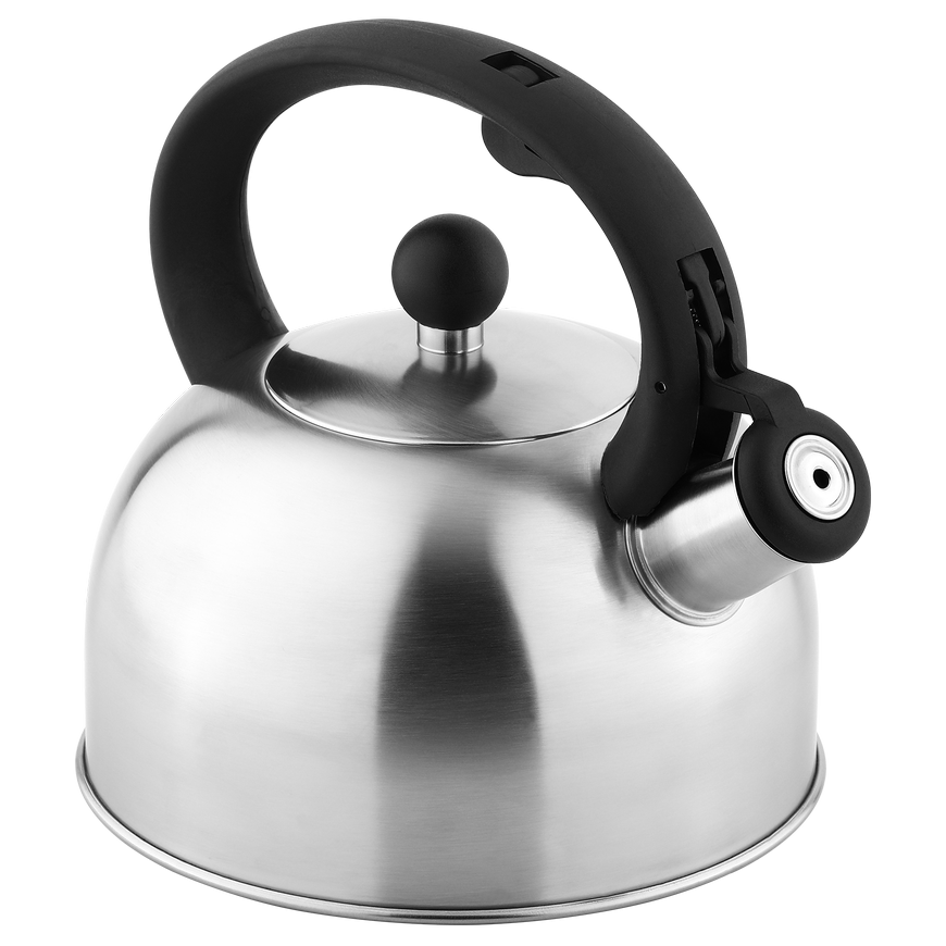 Teesa Stainless steel kettle with whistle 2L – 2