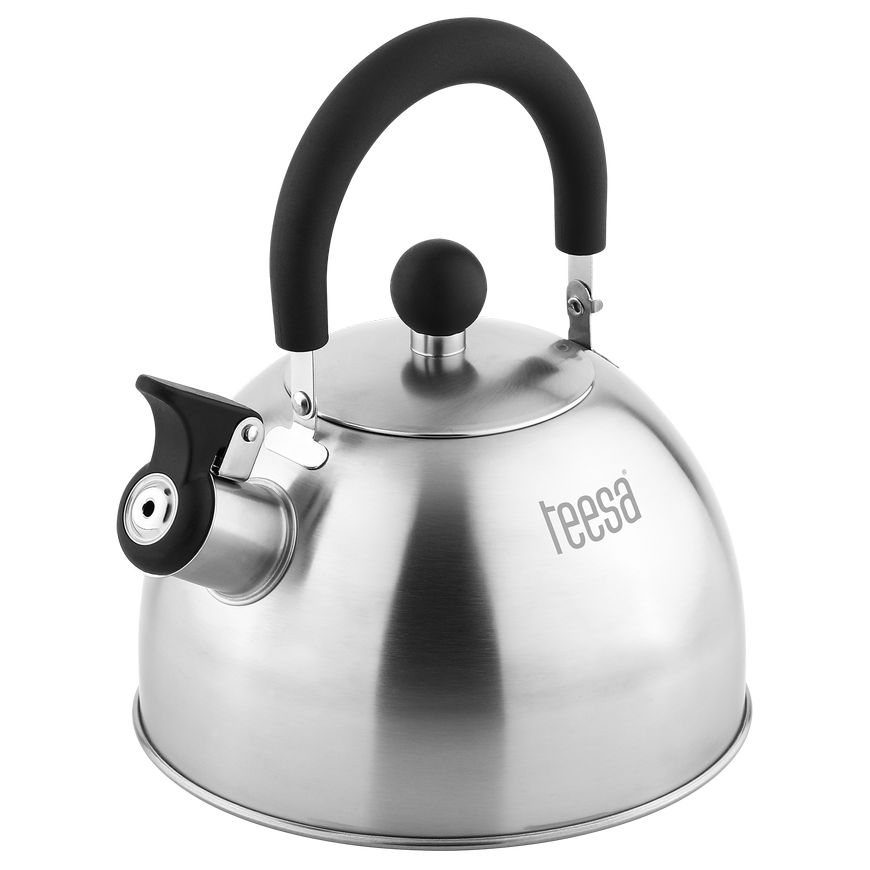 Teesa Stainless steel kettle with whistle
