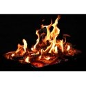 Firewood, beech, dry, 20kg, woodok Firewood, beech, dry, 20kg, woodok
