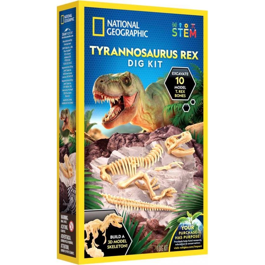 NATIONAL GEOGRAPHIC rinkinys T-Rex Skeleton Dig Kit, RTTREXDIG – 2