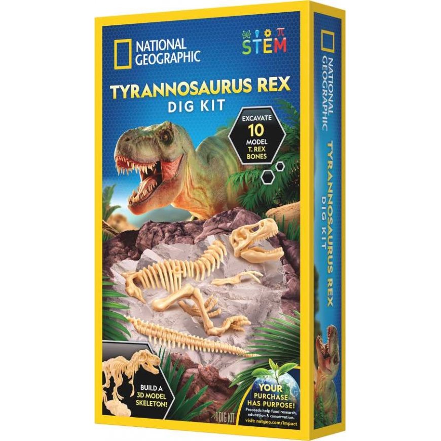 NATIONAL GEOGRAPHIC rinkinys T-Rex Skeleton Dig Kit, RTTREXDIG – 3