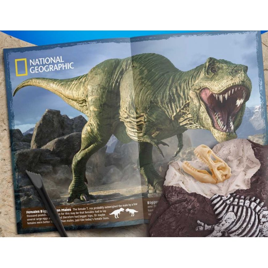 NATIONAL GEOGRAPHIC T-Rex Skeleton Dig Kit, RTTREXDIG – 4