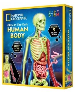NATIONAL GEOGRAPHIC rinkinys Glow in the Dark Human Body, RTHUMBODY