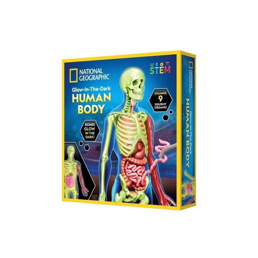 NATIONAL GEOGRAPHIC rinkinys Glow in the Dark Human Body, RTHUMBODY