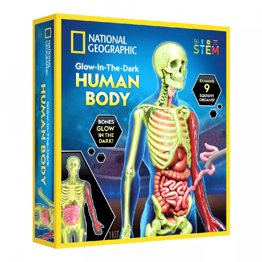 NATIONAL GEOGRAPHIC rinkinys Glow in the Dark Human Body, RTHUMBODY – 2