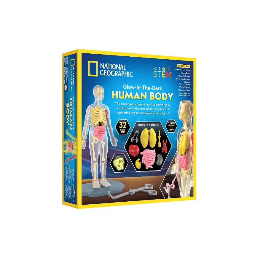 NATIONAL GEOGRAPHIC Collection Glow in the Dark Human Body, RTHUMBODY – 3