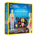 NATIONAL GEOGRAPHIC rinkinys Glow in the Dark Human Body, RTHUMBODY