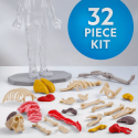 NATIONAL GEOGRAPHIC rinkinys Glow in the Dark Human Body, RTHUMBODY