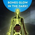 NATIONAL GEOGRAPHIC Collection Glow in the Dark Human Body, RTHUMBODY
