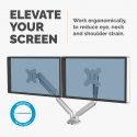 Fellowes Platinum Series 8056501 monitor mount / stand