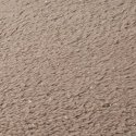 Eurofirany D91/K/BLINK 150X200 BEIGE+SILVER Eurofirany D91/K/BLINK 150X200 BEIGE+SILVER