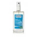 Weleda Sage 12H Spray-deodorantti 100 ml 1 kpl Weleda Sage 12H Spray-deodorantti 100 ml 1 kpl