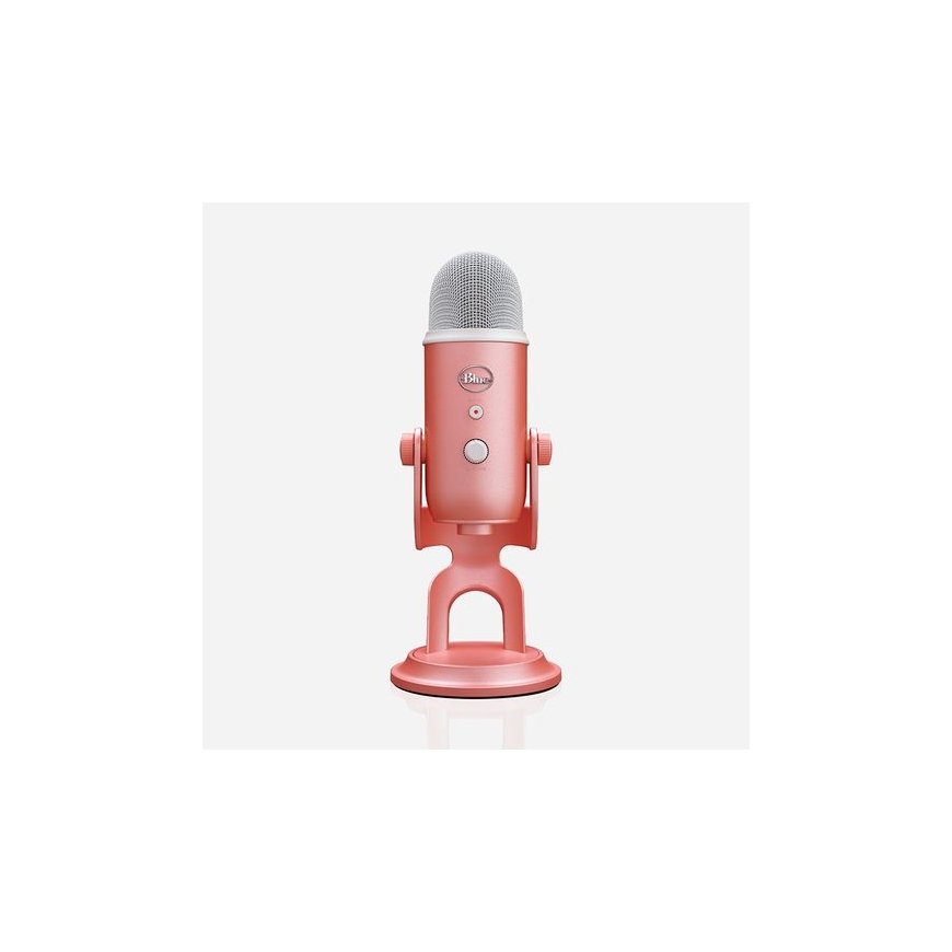 Squeak KARAOKE MICROPHONES VOC ALDUO 2