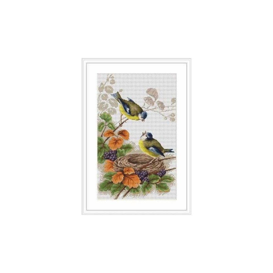 Luca-s luca S Birds in the