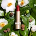 Clarins Joli Rouge 3,5 g 742 Clarins Joli Rouge 3,5 g 742