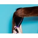 Tangle Teezer The Wet Detangler Adult Hairbrush & comb Black 1 pc(s)