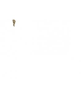Leopard Yellow - Hair brush with handle
