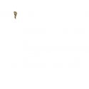 Leopard Yellow - Hair brush with handle Leopard Yellow - Hair brush with handle