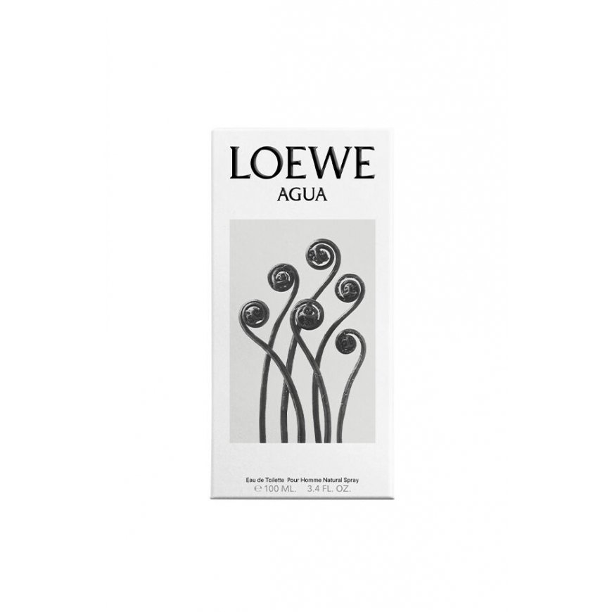 LOEWE Perfumes Agua 100 ml Moteriškas – 3