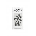 LOEWE Perfumes Agua 100 ml Naised LOEWE Perfumes Agua 100 ml Naised