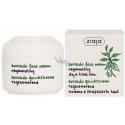 Avocado Face Cream - Pleťový krém Avocado Face Cream - Pleťový krém
