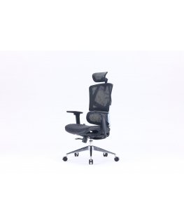 Sihoo M90C ergonomic office chair, black