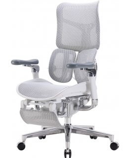 Sihoo Doro S300 ergonomic office chair with footrest, white