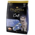 Prospera Plus Sterilized Chicken Urinary 2kg (for the prevention of urinary system diseases) Prospera Plus Sterilized Chicken Urinary 2kg (for the prevention of urinary system diseases)