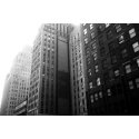 Foma Fomapan 200 135/36 DX Foma Fomapan 200 135/36 DX