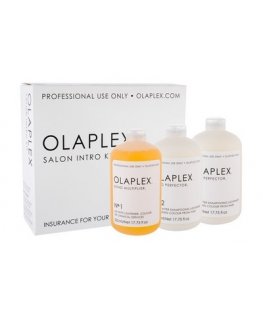 Salon Intro Kit - Set for Colored or Chemically Treated Hair