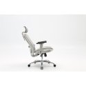 Sihoo M57 ergonomic office chair, gray Sihoo M57 ergonomic office chair, gray