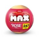 MAX ROSE Bricks set in capsule MAX ROSE Bricks set in capsule