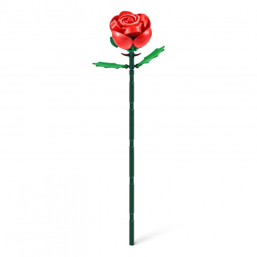 MAX ROSE Bricks set in capsule – 3