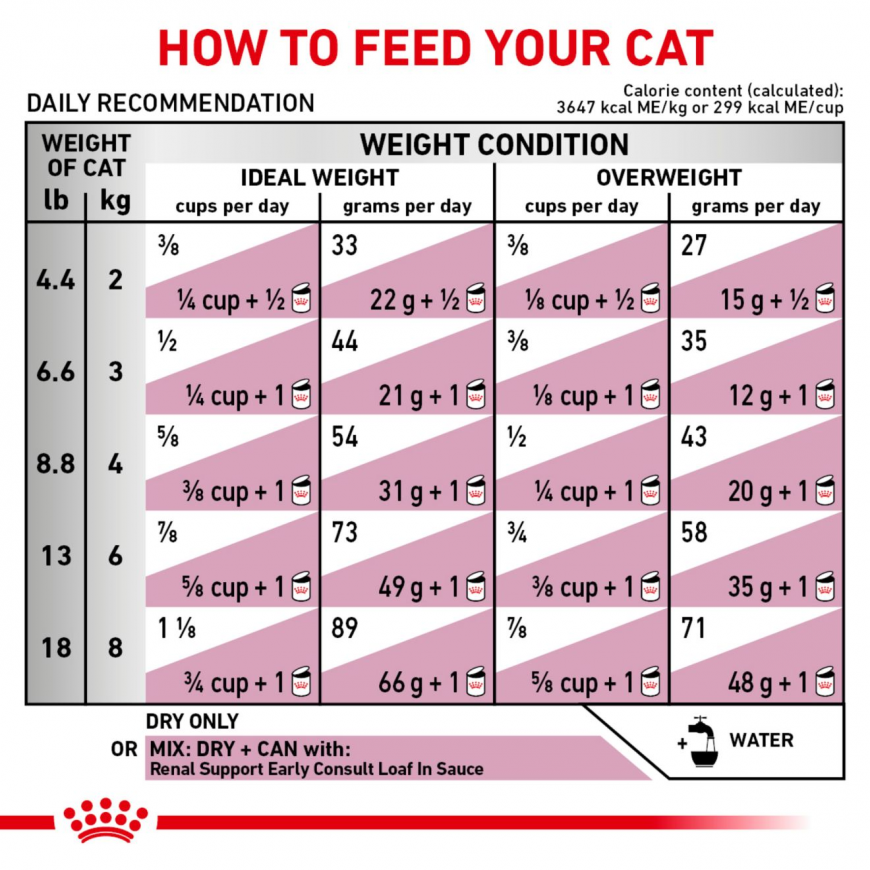 Royal Canin Early Renal Cat 1,5 kg – 2
