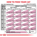 Royal Canin Early Renal Cat 1,5 kg Royal Canin Early Renal Cat 1,5 kg