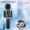 iWear M85 Karaoke Kids & Adult Fun Effect Microphone with Speake