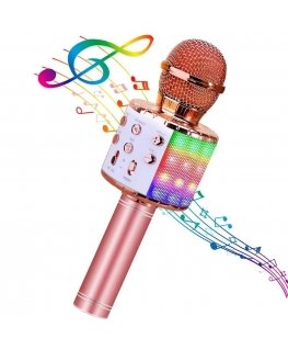 iWear M85 Karaoke Kids & Adult Fun Effect Microphone with Speake