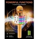 iWear M85 Karaoke Kids & Adult Fun Effect Microphone with Speake iWear M85 Karaoke Kids & Adult Fun Effect Microphone with Speake