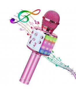 iWear M85 Karaoke Kids & Adult Fun Effect Microphone with Speake